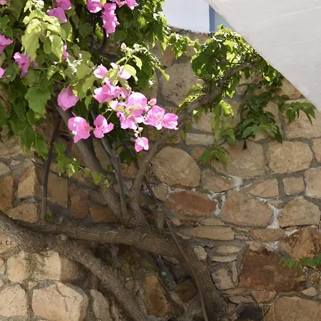 Lägenhet Patmos Cute Seafront Escape For 3 *